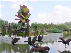 Topiary Photos